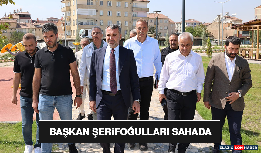 Başkan Şerifoğulları Sahada