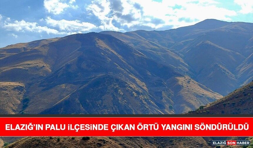 Elazığ’ın Palu İlçesinde Çıkan Örtü Yangını Söndürüldü
