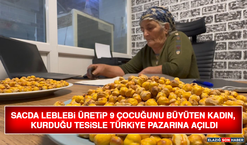 Sacda Leblebi Üretip 9 Çocuğunu Büyüten Kadın, Kurduğu Tesisle Türkiye Pazarına Açıldı