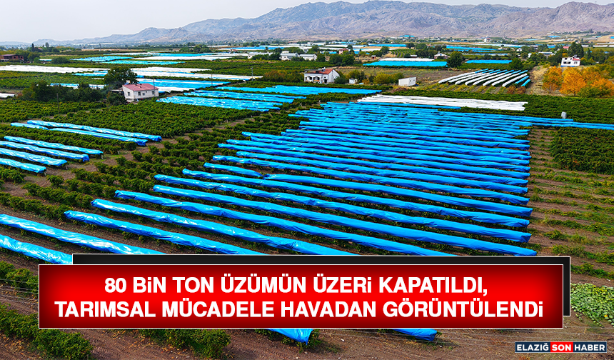 80 Bin Ton Üzümün Üzeri Kapatıldı, Tarımsal Mücadele Havadan Görüntülendi