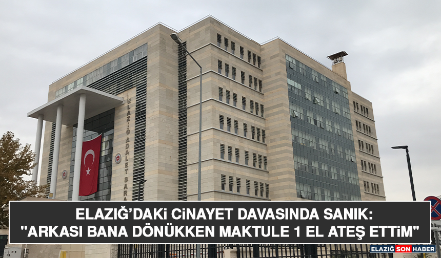 Elazığ’daki Cinayet Davasında Sanık: "Arkası Bana Dönükken Maktule 1 El Ateş Ettim"