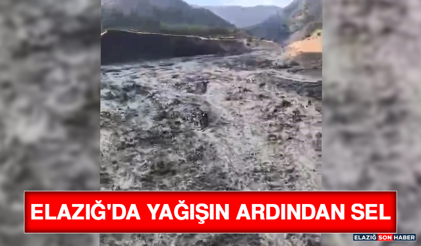 Elazığ'da Yağışın Ardından Sel