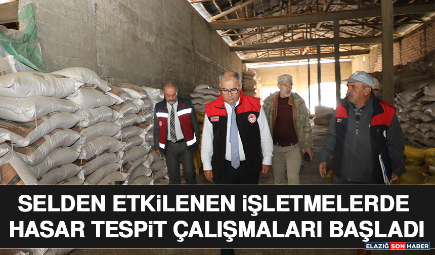 Selden Etkilenen İşletmelerde Hasar Tespit Çalışmaları Başladı