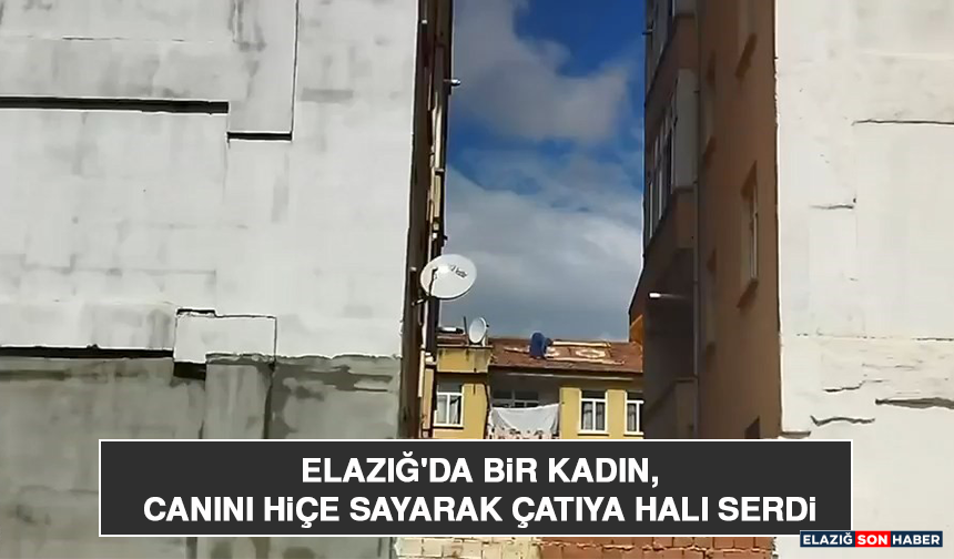 Elazığ'da Bir Kadın, Canını Hiçe Sayarak Çatıya Halı Serdi