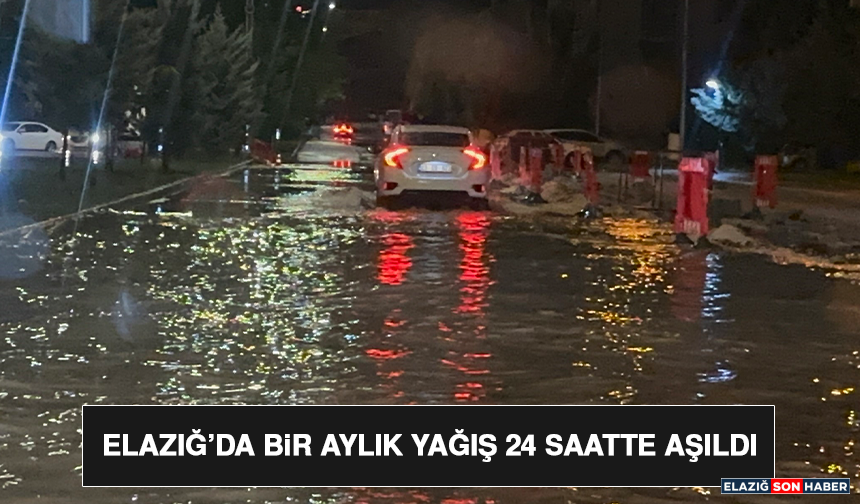 Elazığ’da Bir Aylık Yağış 24 Saatte Aşıldı