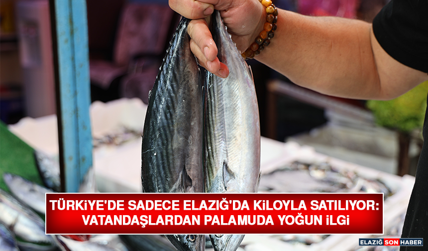 Türkiye'de Sadece Elazığ'da Kiloyla Satılıyor: Vatandaşlardan Palamuda Yoğun İlgi