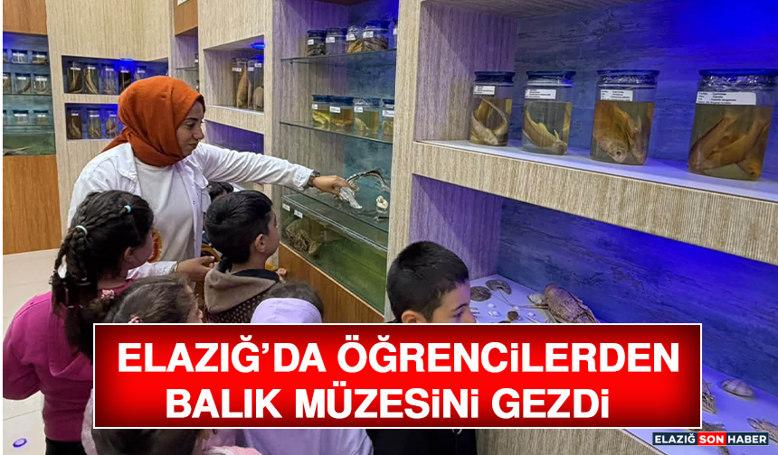 Elazığ’da Öğrencilerden Balık Müzesini Gezdi