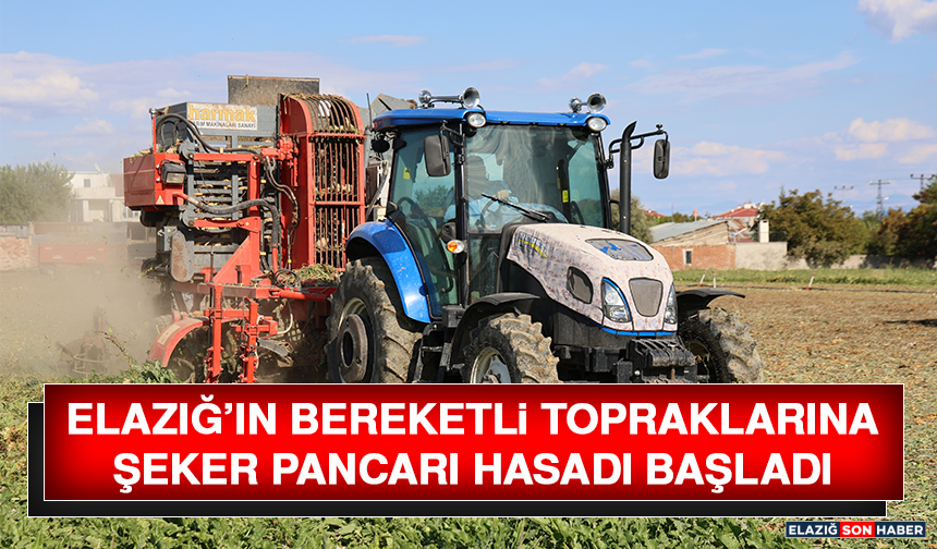 Elazığ’ın Bereketli Topraklarında Şeker Pancarı Hasadı Başladı