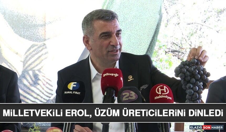 Milletvekili Erol, Üzüm Üreticilerini Dinledi