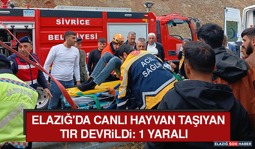 Elazığ'da Canlı Hayvan Taşıyan Tır Devrildi: 1 Yaralı