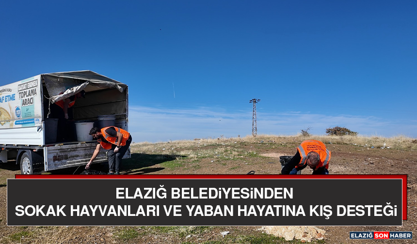 Elazığ Belediyesinden Sokak Hayvanları ve Yaban Hayatına Kış Desteği