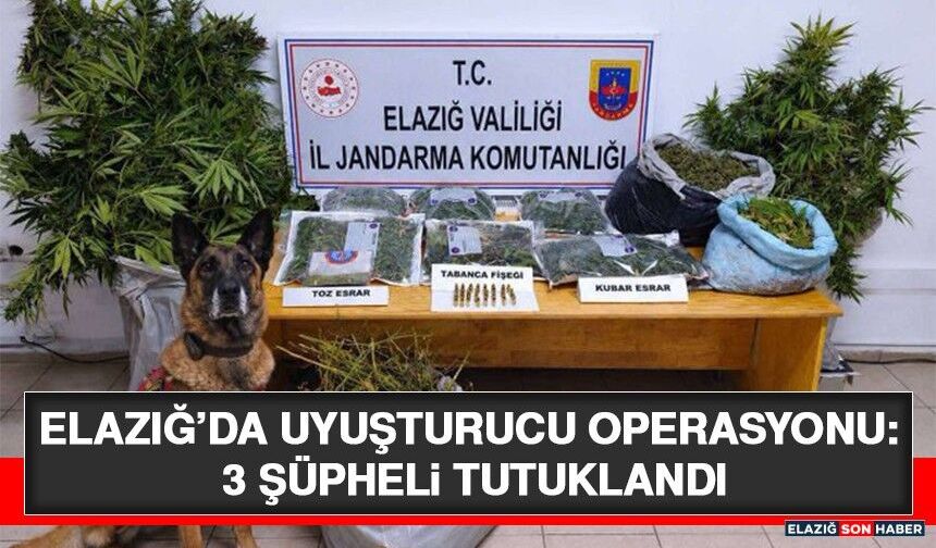 Elazığ’da Uyuşturucu Operasyonu: 3 Şüpheli Tutuklandı
