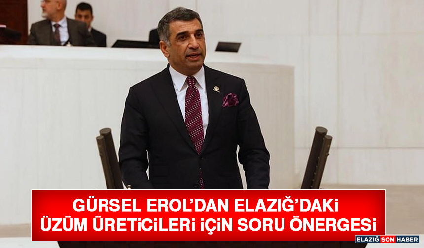 Gürsel Erol’dan Elazığ’daki Üzüm Üreticileri İçin Soru Önergesi