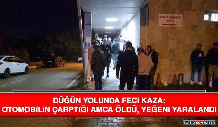 Düğün Yolunda Feci Kaza: Otomobilin Çarptığı Amca Öldü, Yeğeni Yaralandı