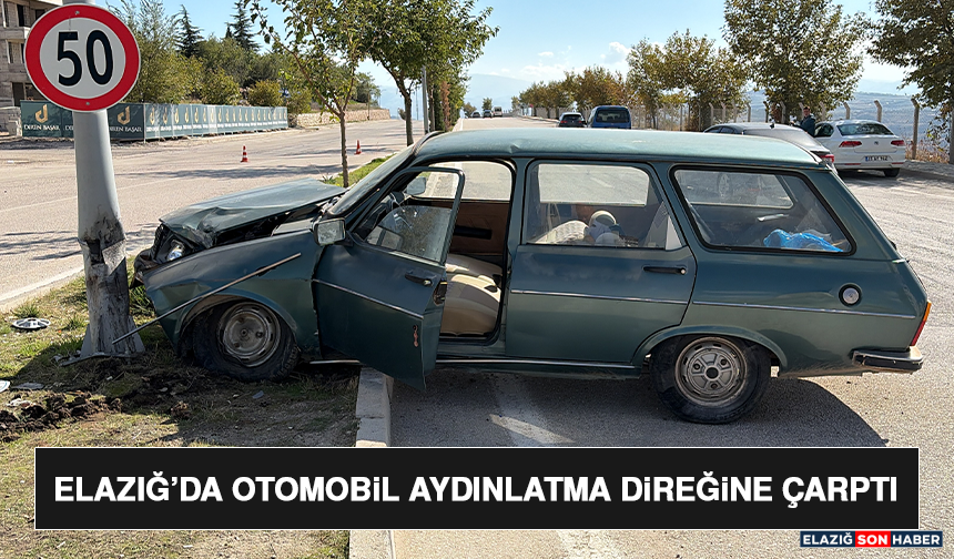 Elazığ’da Otomobil Aydınlatma Direğine Çarptı