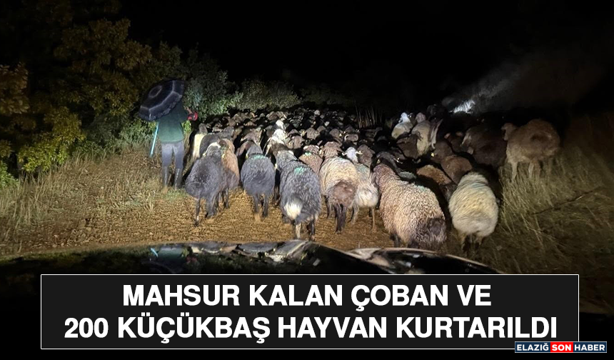 Mahsur Kalan Çoban ve 200 Küçükbaş Hayvan Kurtarıldı