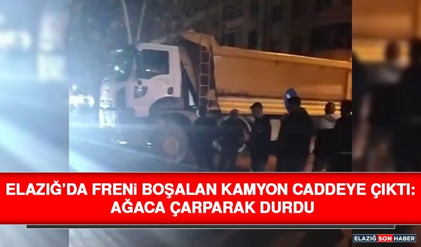 Elazığ’da Freni Boşalan Kamyon Caddeye Çıktı: Ağaca Çarparak Durdu