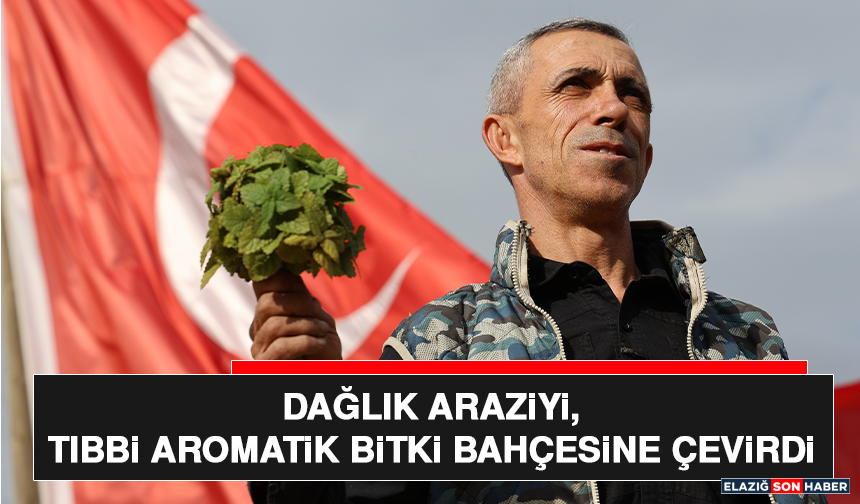 Dağlık Araziyi, Tıbbi Aromatik Bitki Bahçesine Çevirdi