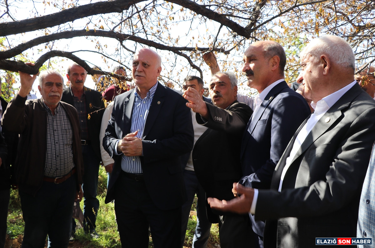 1745076940 Aa 20250419 37681118 37681110 Tzob Genel Baskani Bayraktar Elazigda Zirai Dondan Etkilenen Bahceleri Inceledi