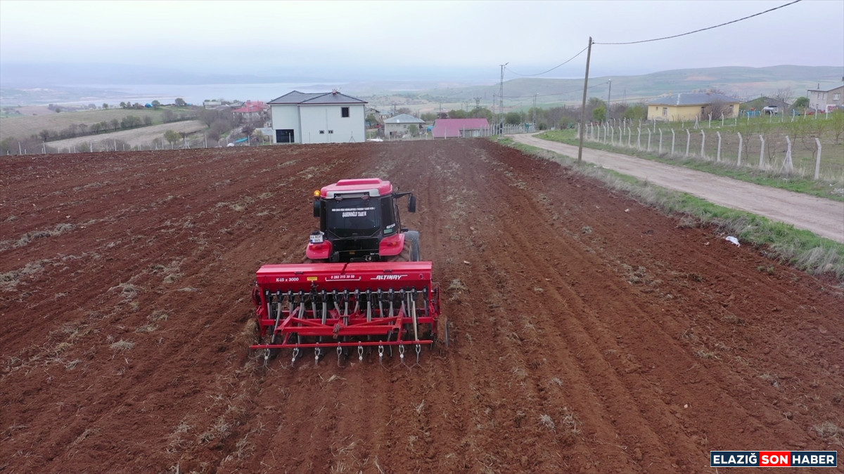 A A 20250429 37785994 37785976 A G I N L E B L E B I S I N O H U D U N U N O R G A N I K U R E T I M I I C I N K I M Y A S A L G U B R E Y E R I N E B A K T E R I K U L L A N I L A C A K