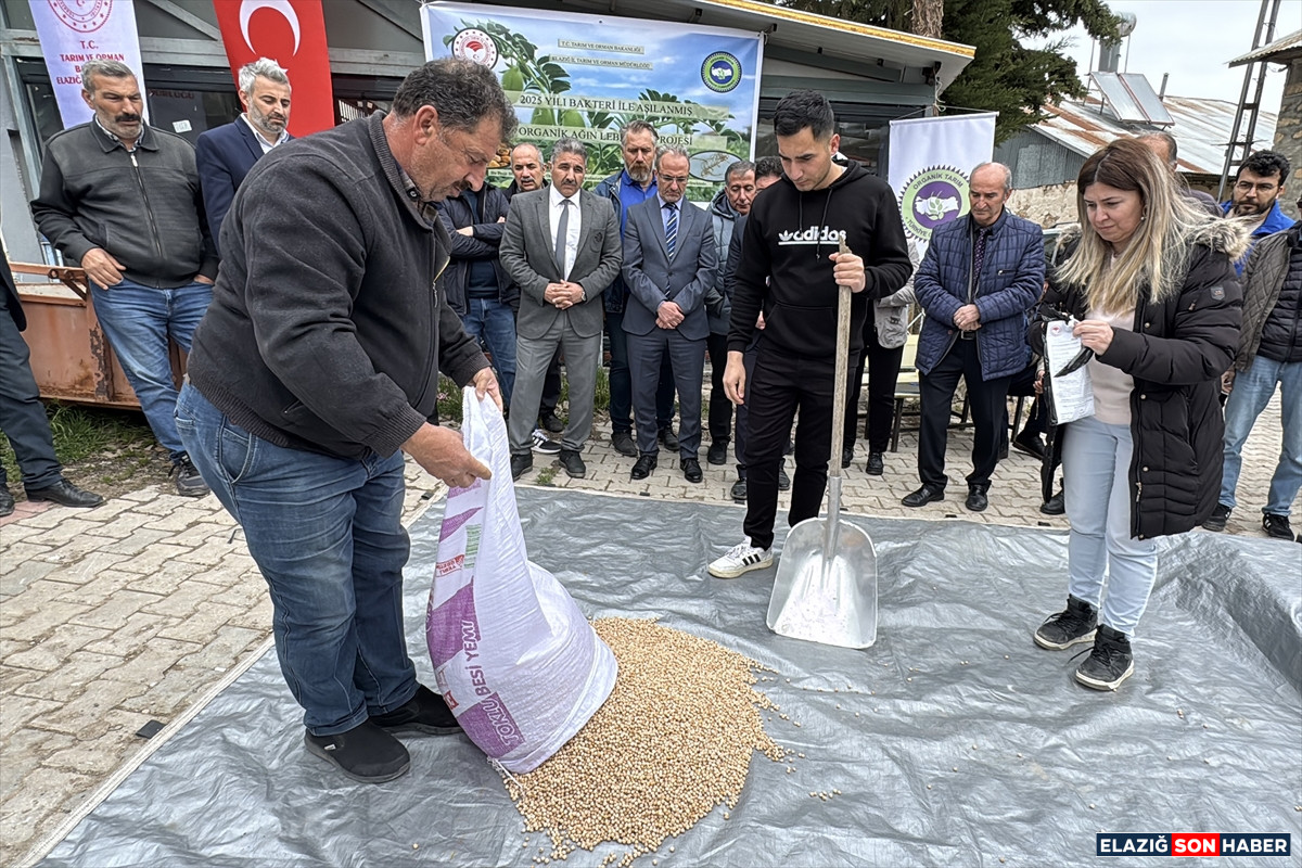 A A 20250429 37785994 37785979 A G I N L E B L E B I S I N O H U D U N U N O R G A N I K U R E T I M I I C I N K I M Y A S A L G U B R E Y E R I N E B A K T E R I K U L L A N I L A C A K