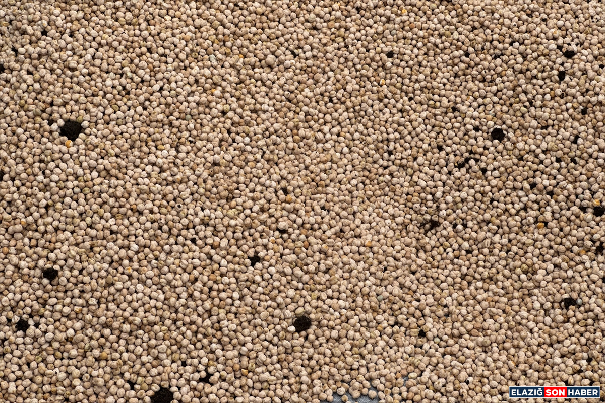 A A 20250429 37785994 37785981 A G I N L E B L E B I S I N O H U D U N U N O R G A N I K U R E T I M I I C I N K I M Y A S A L G U B R E Y E R I N E B A K T E R I K U L L A N I L A C A K