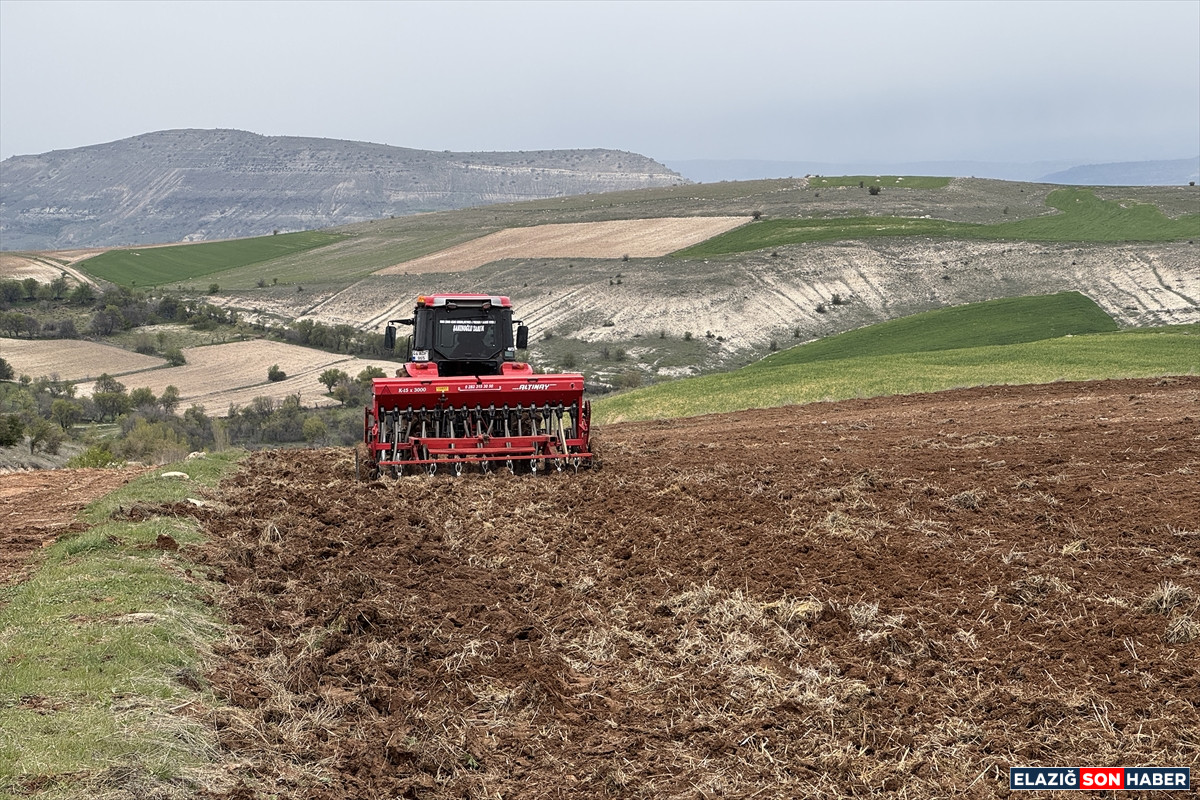 A A 20250429 37785994 37785987 A G I N L E B L E B I S I N O H U D U N U N O R G A N I K U R E T I M I I C I N K I M Y A S A L G U B R E Y E R I N E B A K T E R I K U L L A N I L A C A K