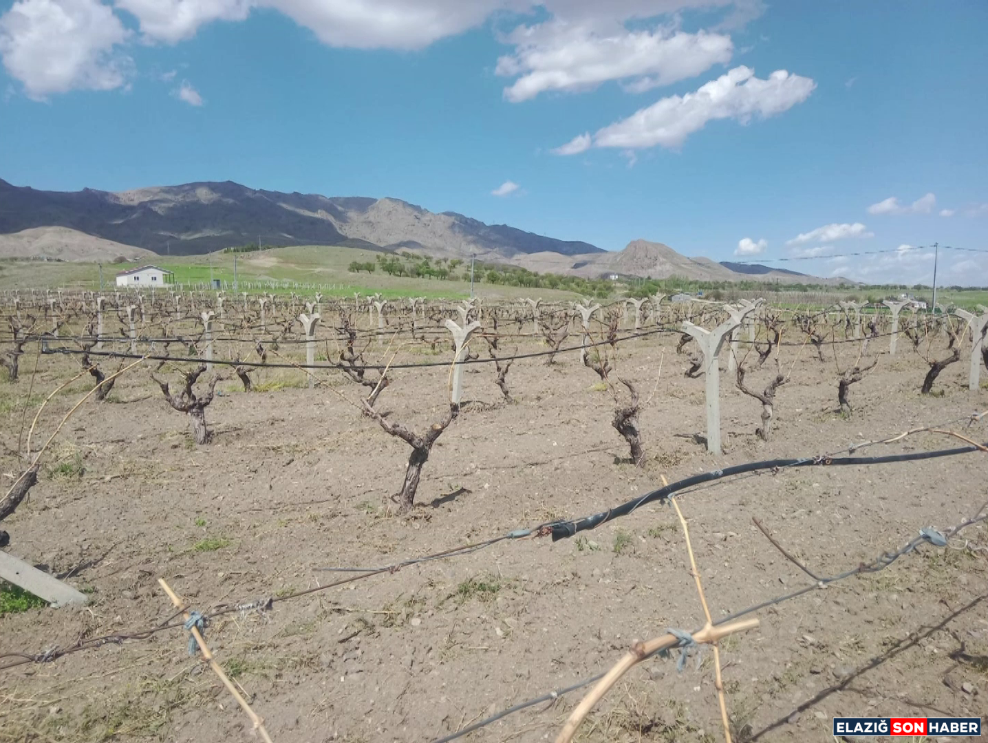 Vlcsnap 2025 04 22 13H53M05S549