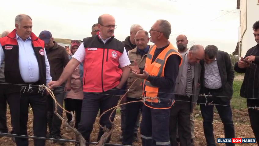 Vlcsnap 2025 04 25 14H51M02S427