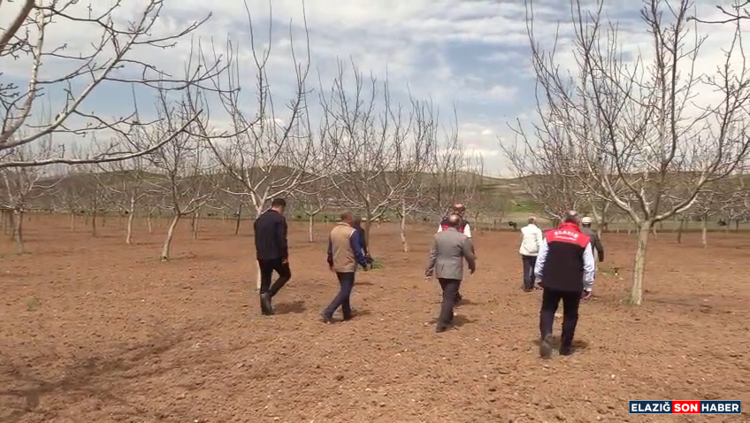 Vlcsnap 2025 04 25 14H51M14S085