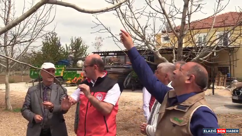 Vlcsnap 2025 04 25 14H51M21S227