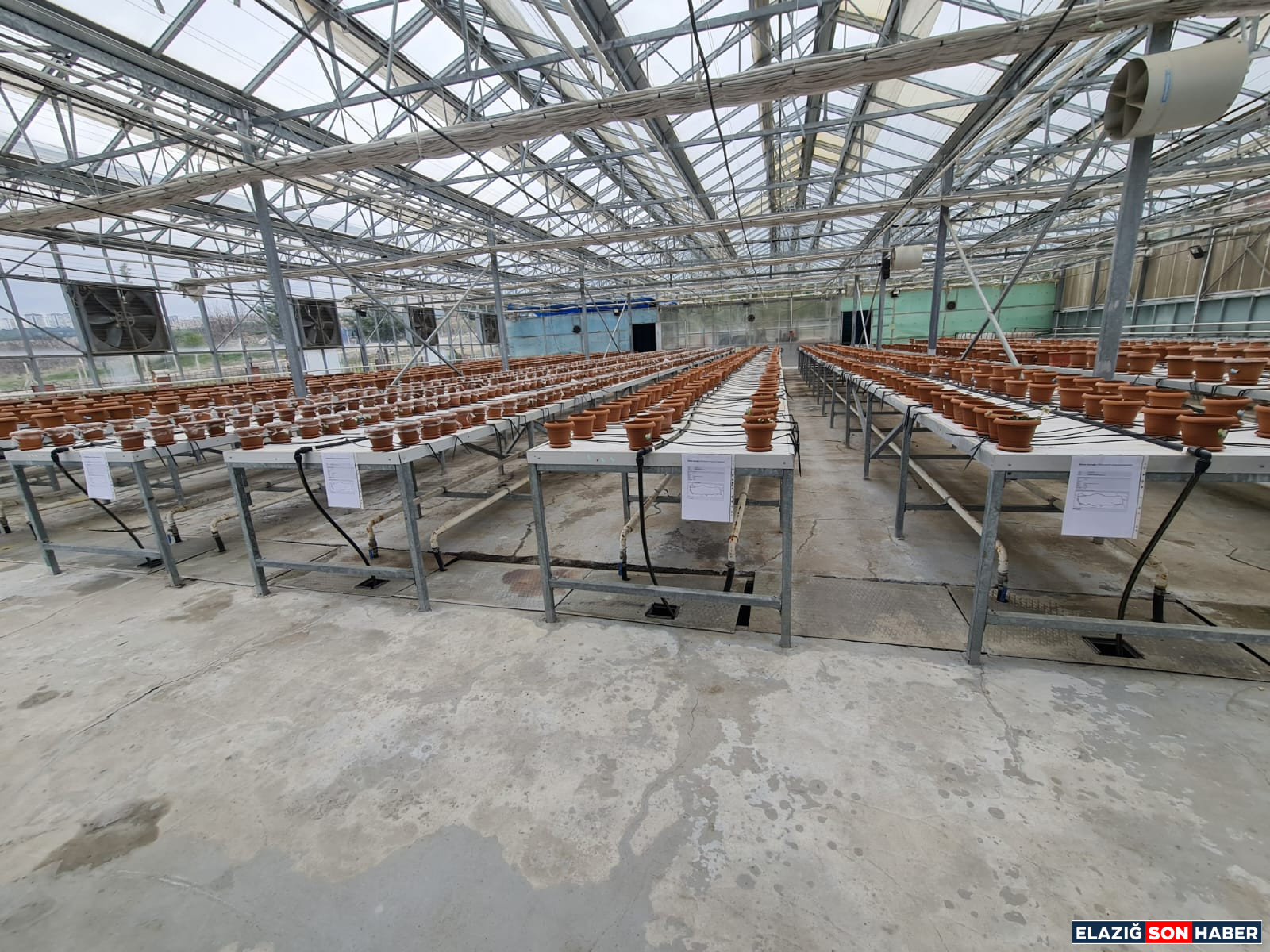 Whatsapp Image 2025 04 16 At 14.16.38 (1)