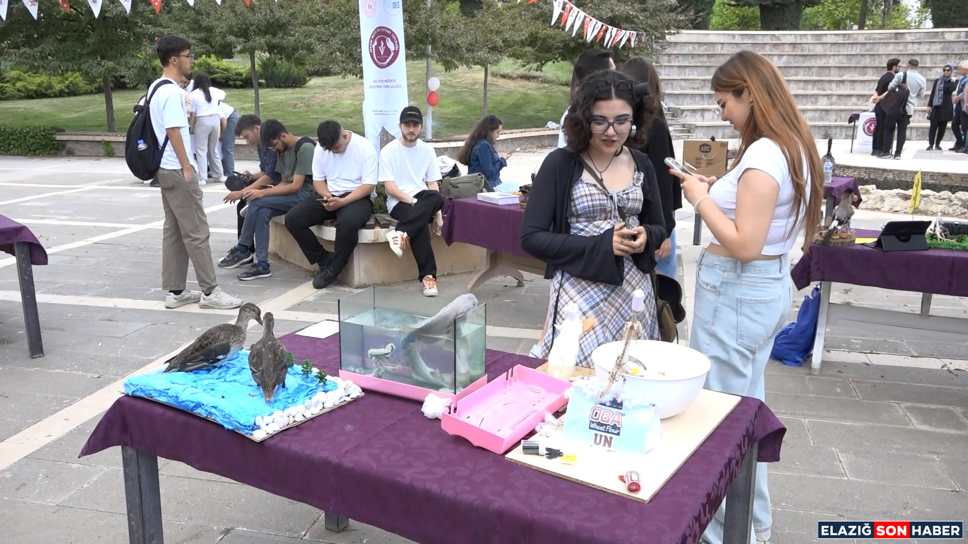 1748609984 Firat N Vers Tes Anatom M Ze Serg S Kerem.mp4 Snapshot 00.45.296