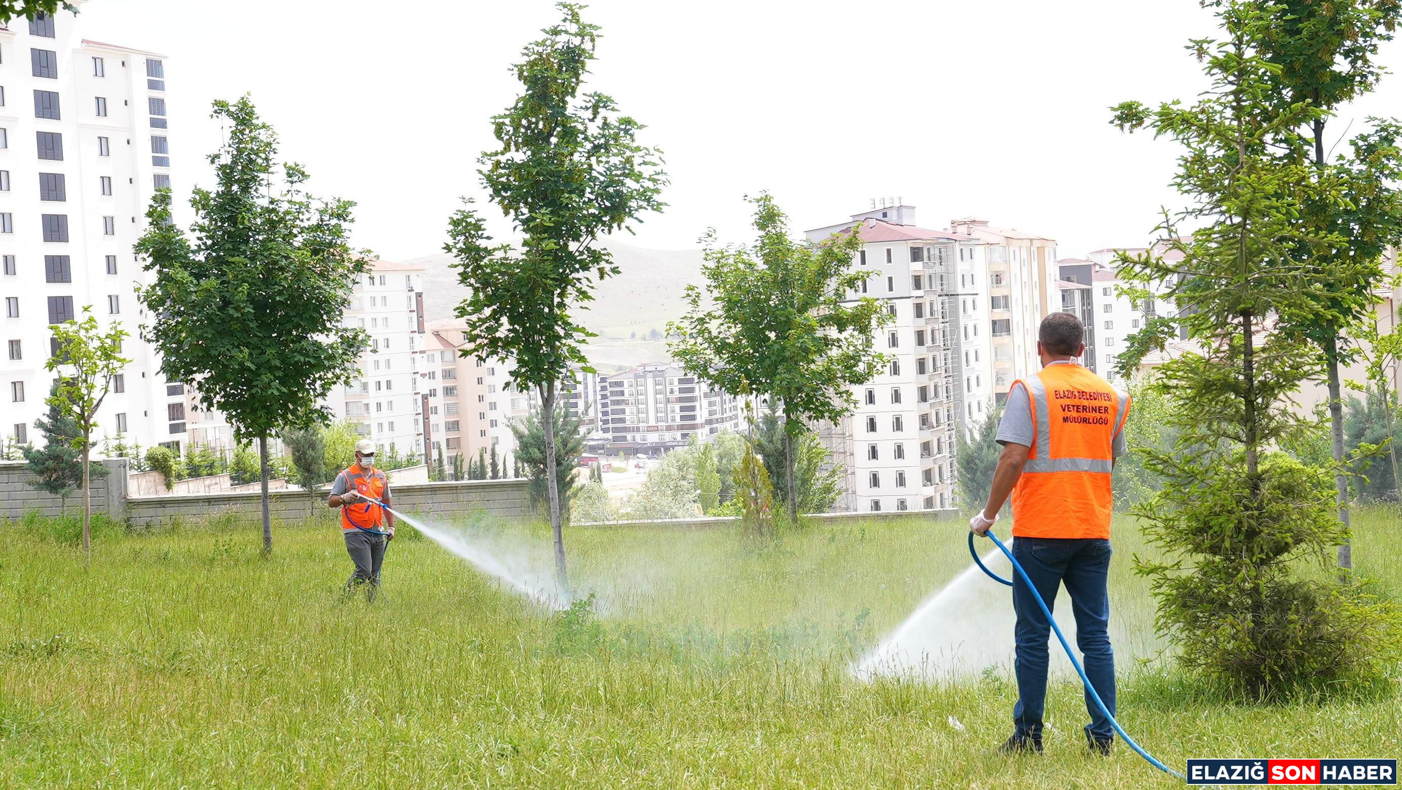 Elazig Belediyesi Ilaclama Cal 1748347171 B4A L G8