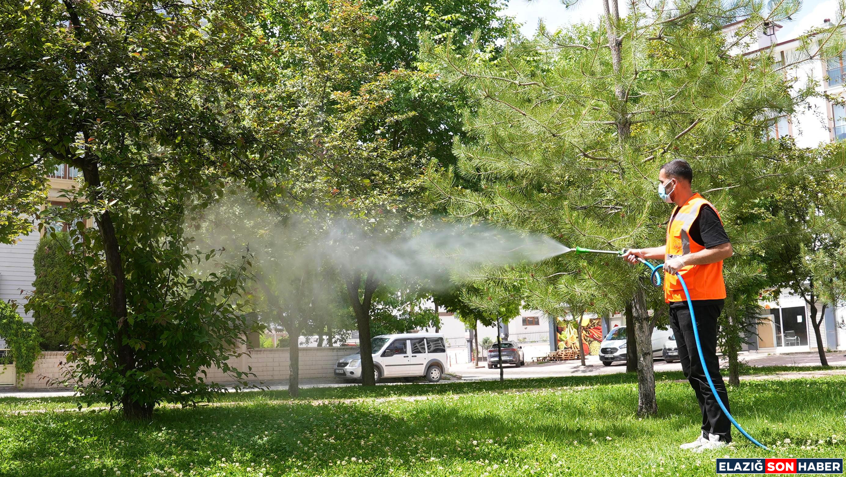 Elazig Belediyesi Ilaclama Cal 1748347172 1M Sgol