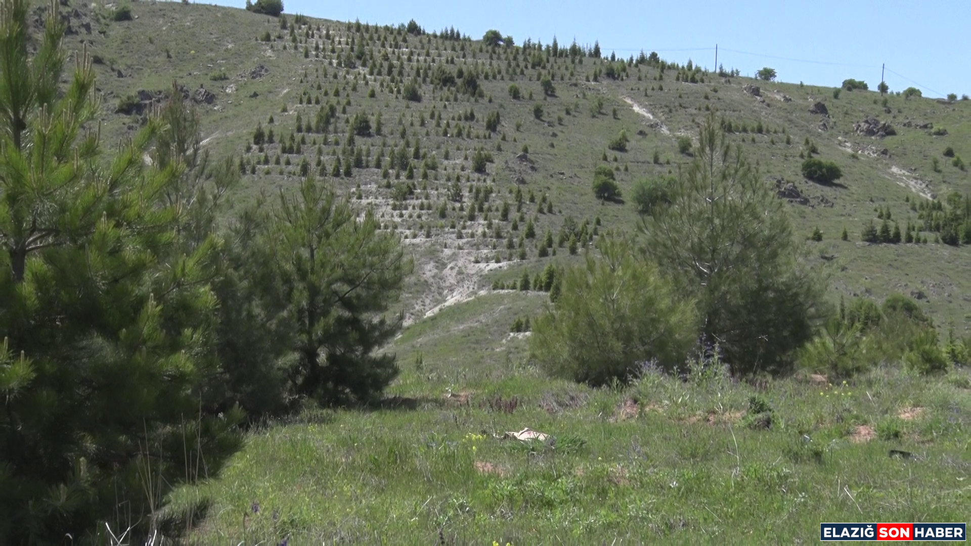 Vlcsnap 2025 05 09 16H31M28S743