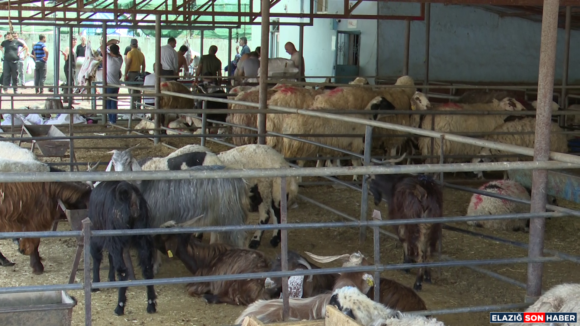 Vlcsnap 2025 06 07 19H29M11S877