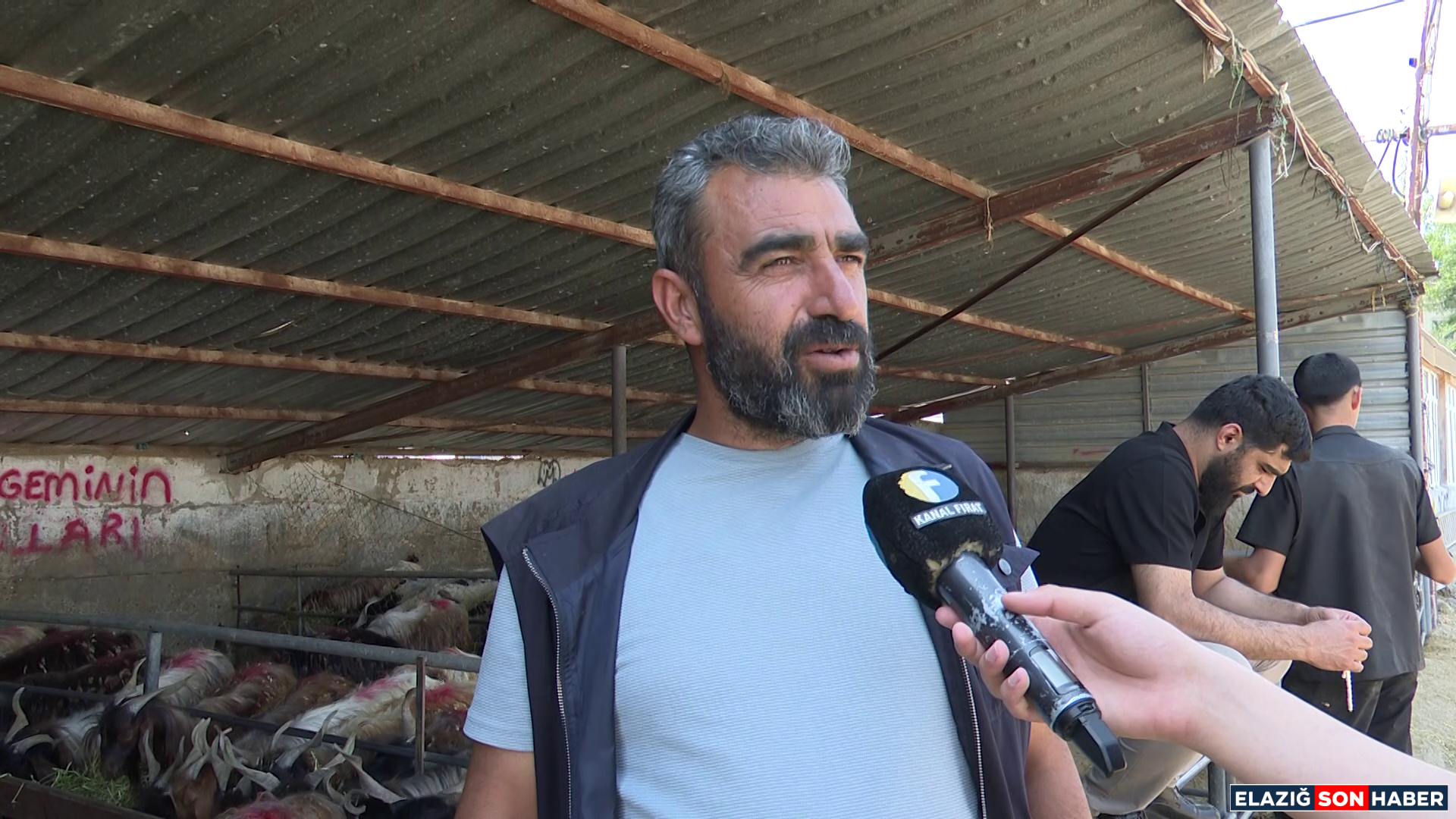 Vlcsnap 2025 06 07 19H29M17S754