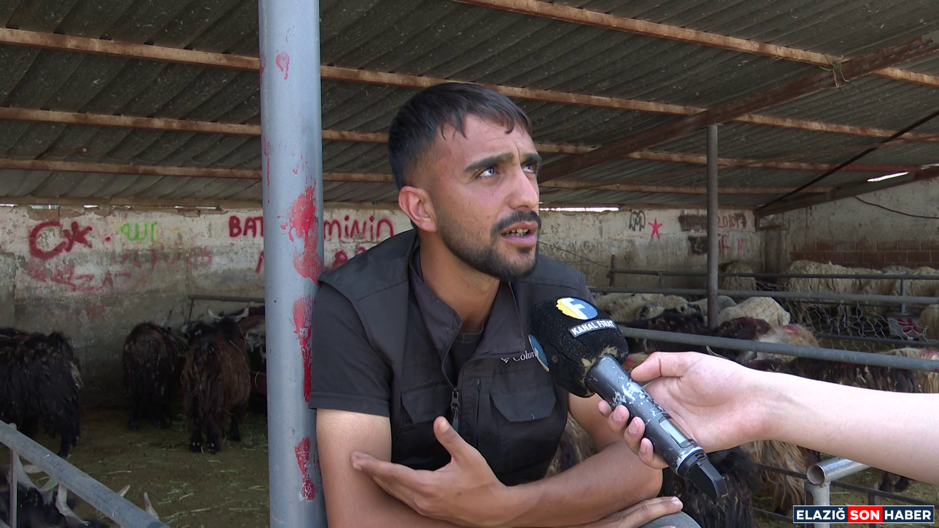 Vlcsnap 2025 06 07 19H29M26S914