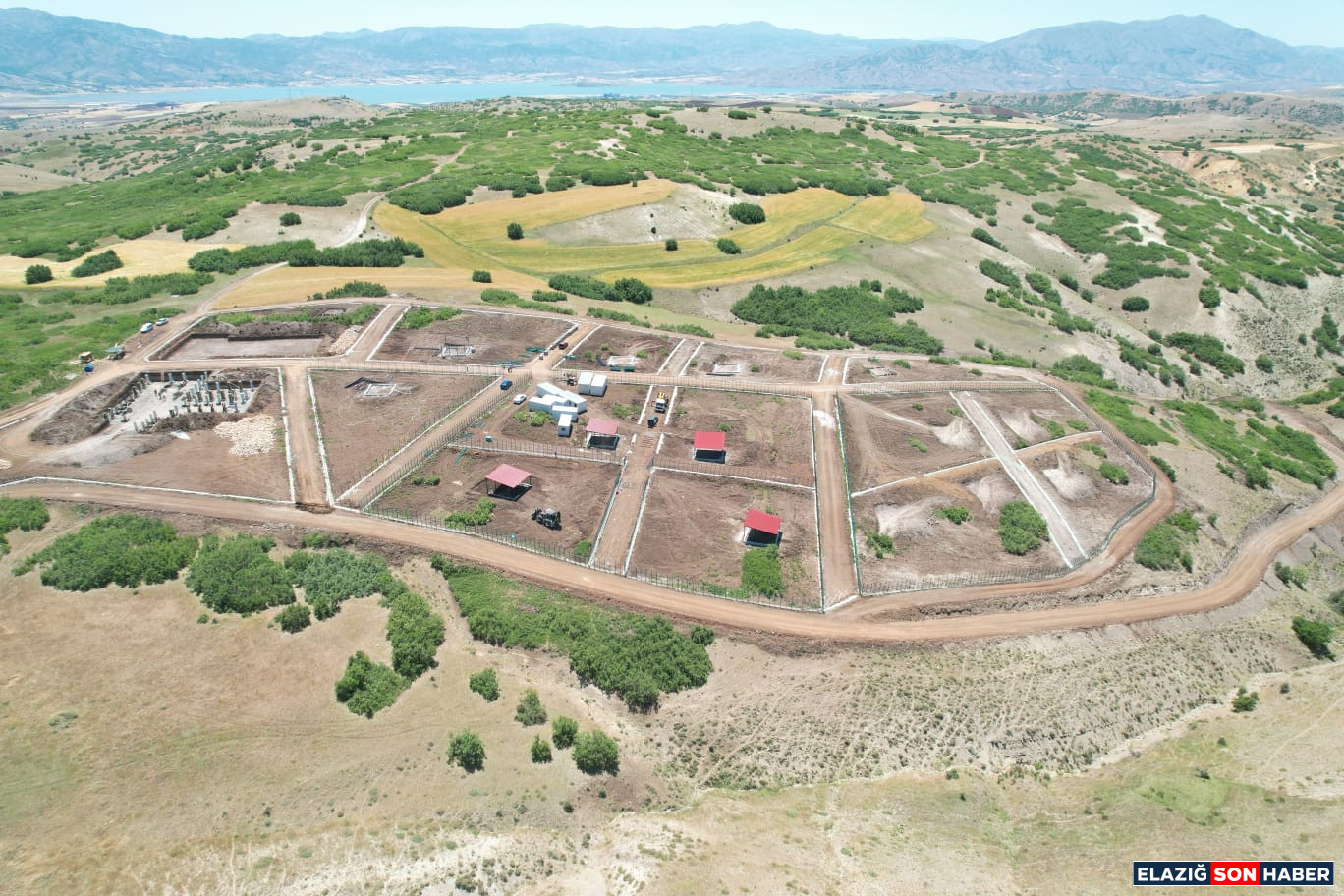 Whatsapp Image 2025 06 19 At 10.45.28