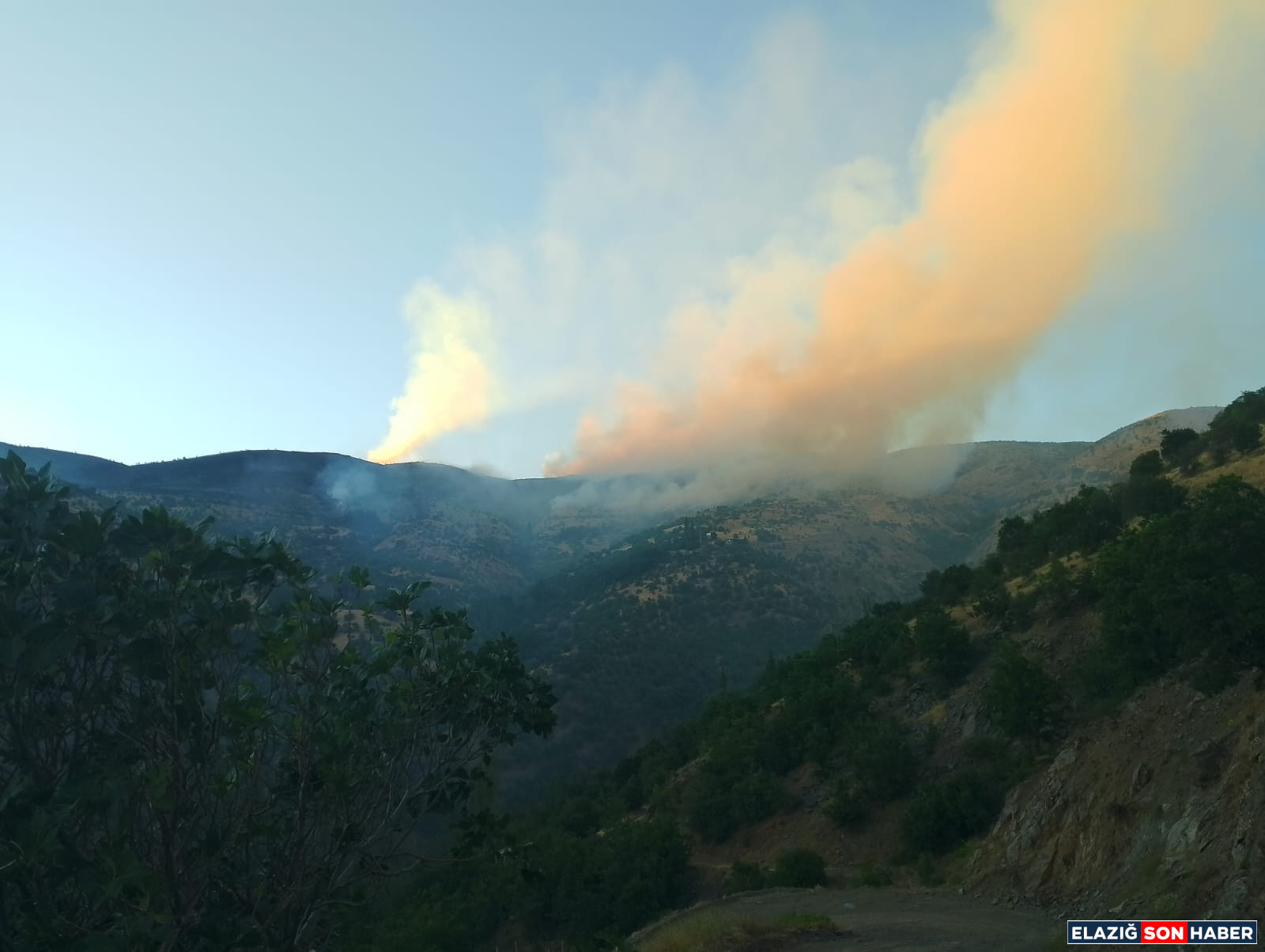 703Ec07B 2698 4D37 B9A0 25Ef69A8Dacc