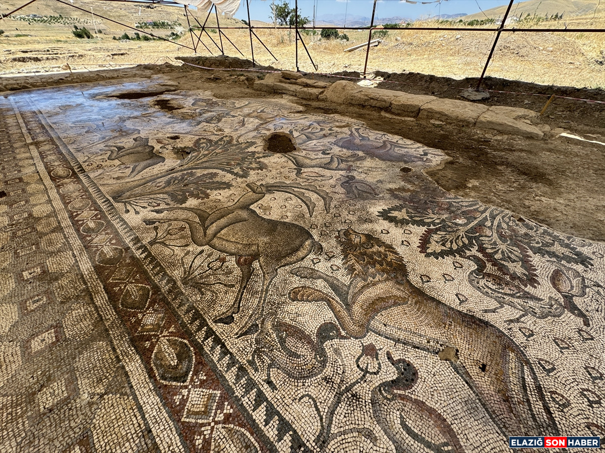 A A 20250714 38555410 38555407 E L A Z I G D A B I R T A R L A D A Y A K L A S I K 1700 Y I L L I K R O M A H A M A M I G U N Y U Z U N E C I K A R I L D I