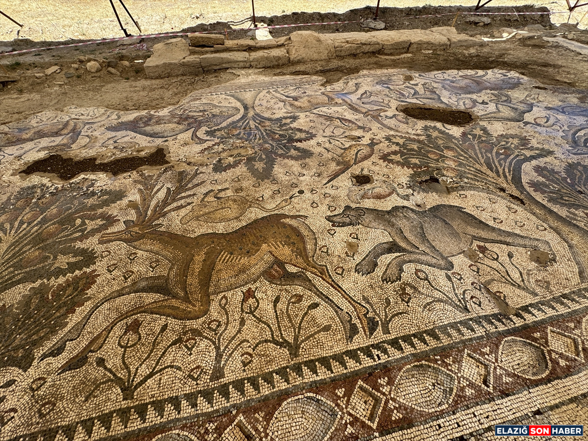 A A 20250714 38555410 38555408 E L A Z I G D A B I R T A R L A D A Y A K L A S I K 1700 Y I L L I K R O M A H A M A M I G U N Y U Z U N E C I K A R I L D I