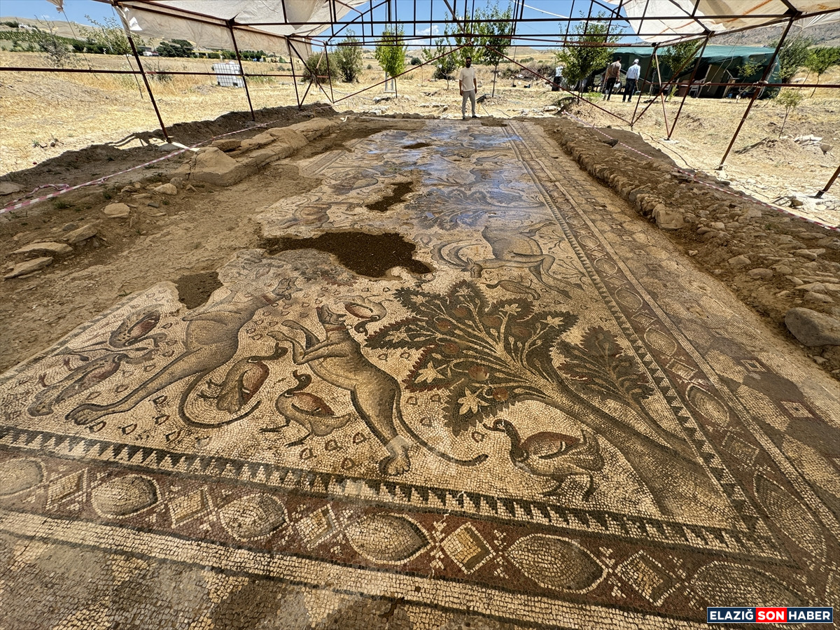 A A 20250714 38555410 38555409 E L A Z I G D A B I R T A R L A D A Y A K L A S I K 1700 Y I L L I K R O M A H A M A M I G U N Y U Z U N E C I K A R I L D I