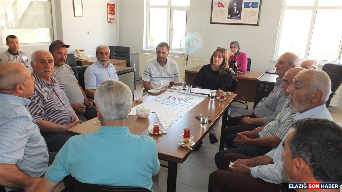 A A 20250718 38594981 38594979 T K D K D E N K E B A N V E A G I N D A B I L G I L E N D I R M E T O P L A N T I S I