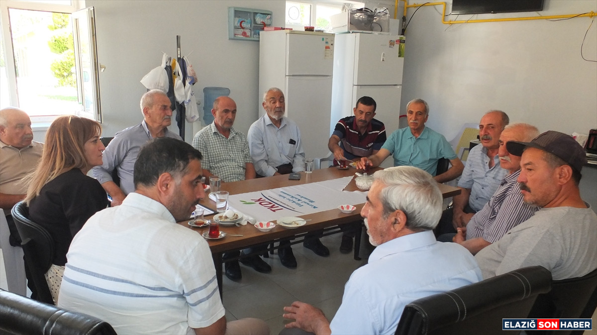 A A 20250718 38594981 38594980 T K D K D E N K E B A N V E A G I N D A B I L G I L E N D I R M E T O P L A N T I S I