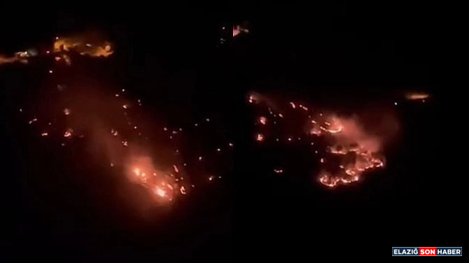 I M G 20250727 W A0003