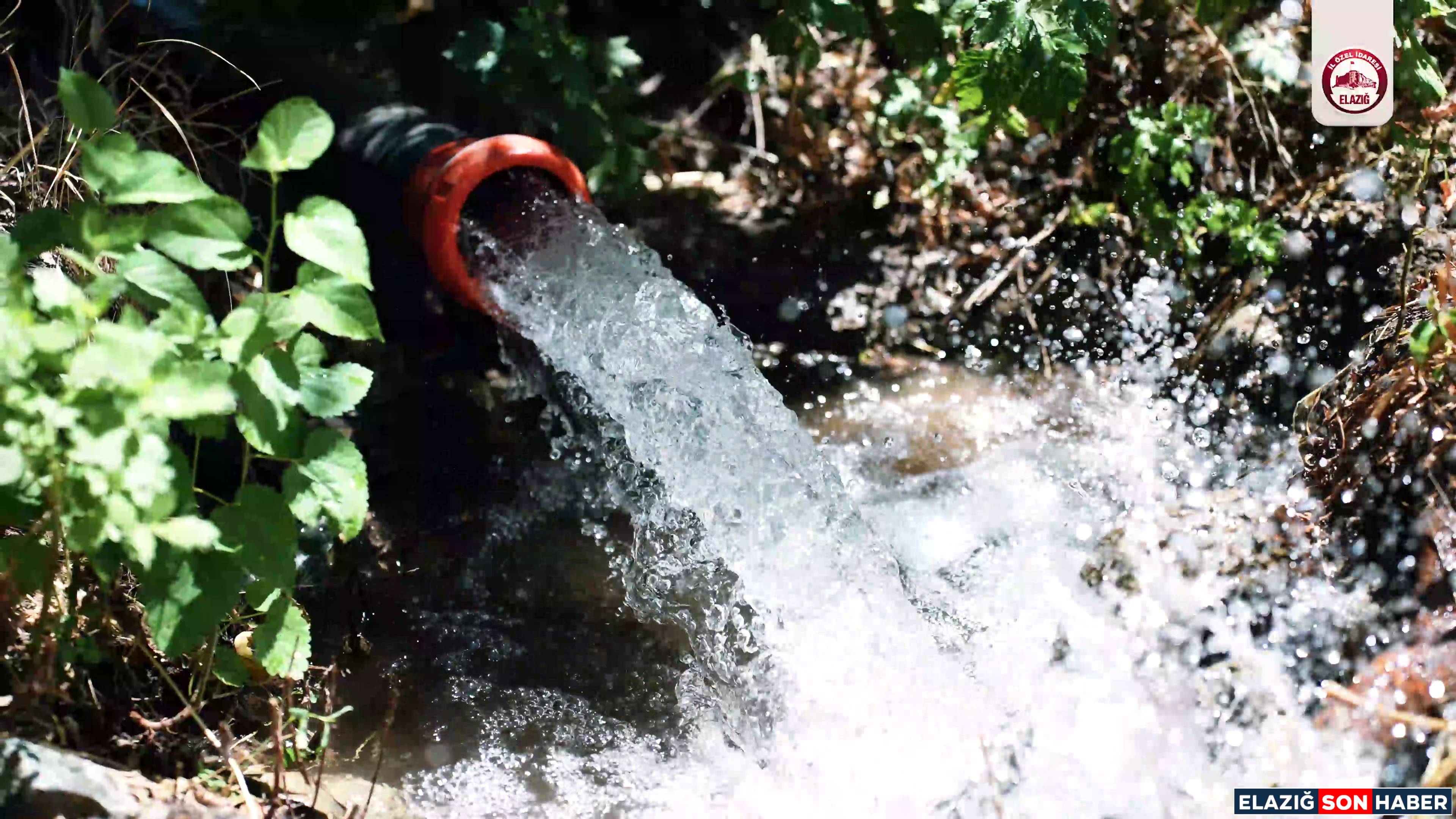 Vlcsnap 2025 07 14 12H35M36S970