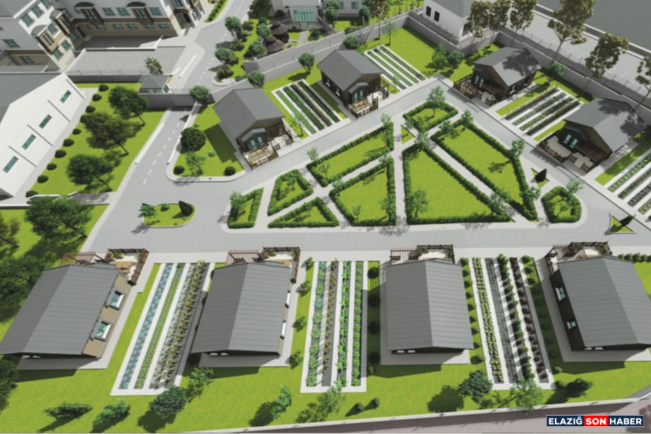 Whatsapp Image 2025 07 08 At 09.25.49