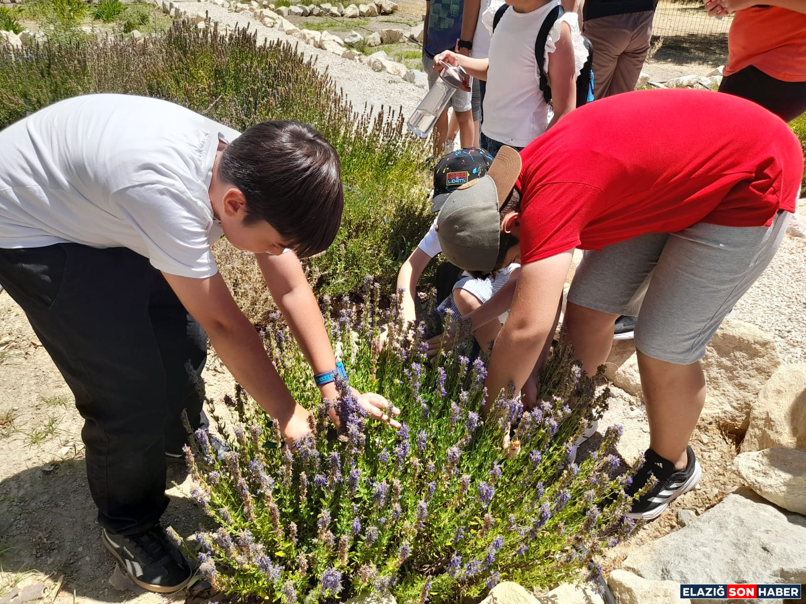 Whatsapp Image 2025 07 08 At 15.16.15